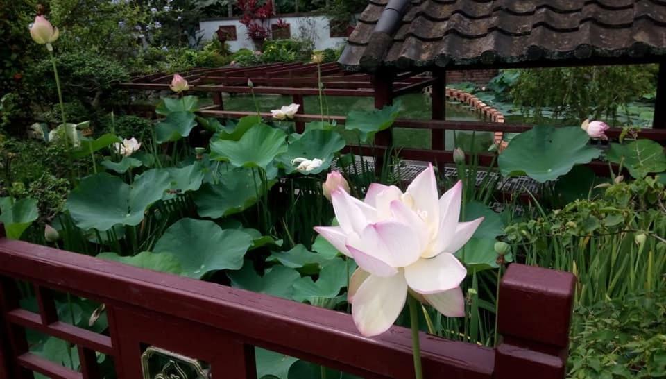 Chinese Garden Houses Apartment Pingtung Bagian luar foto