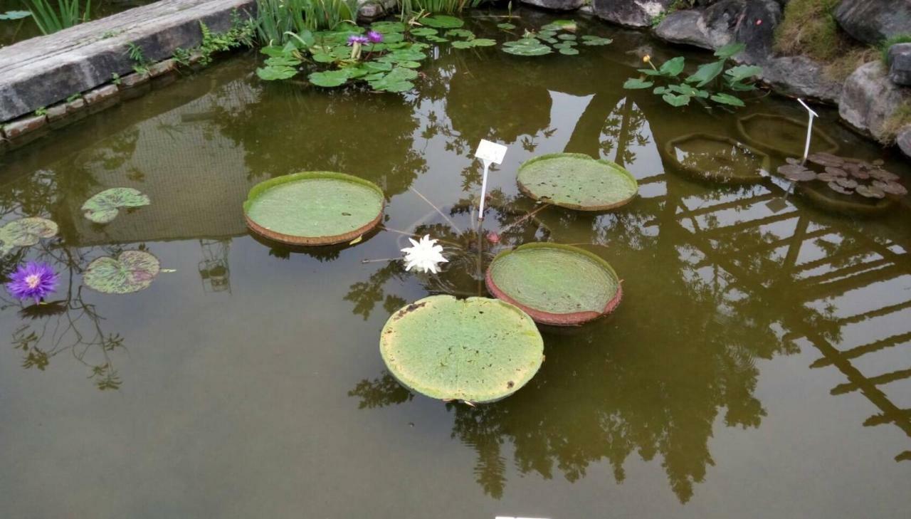 Chinese Garden Houses Apartment Pingtung Bagian luar foto